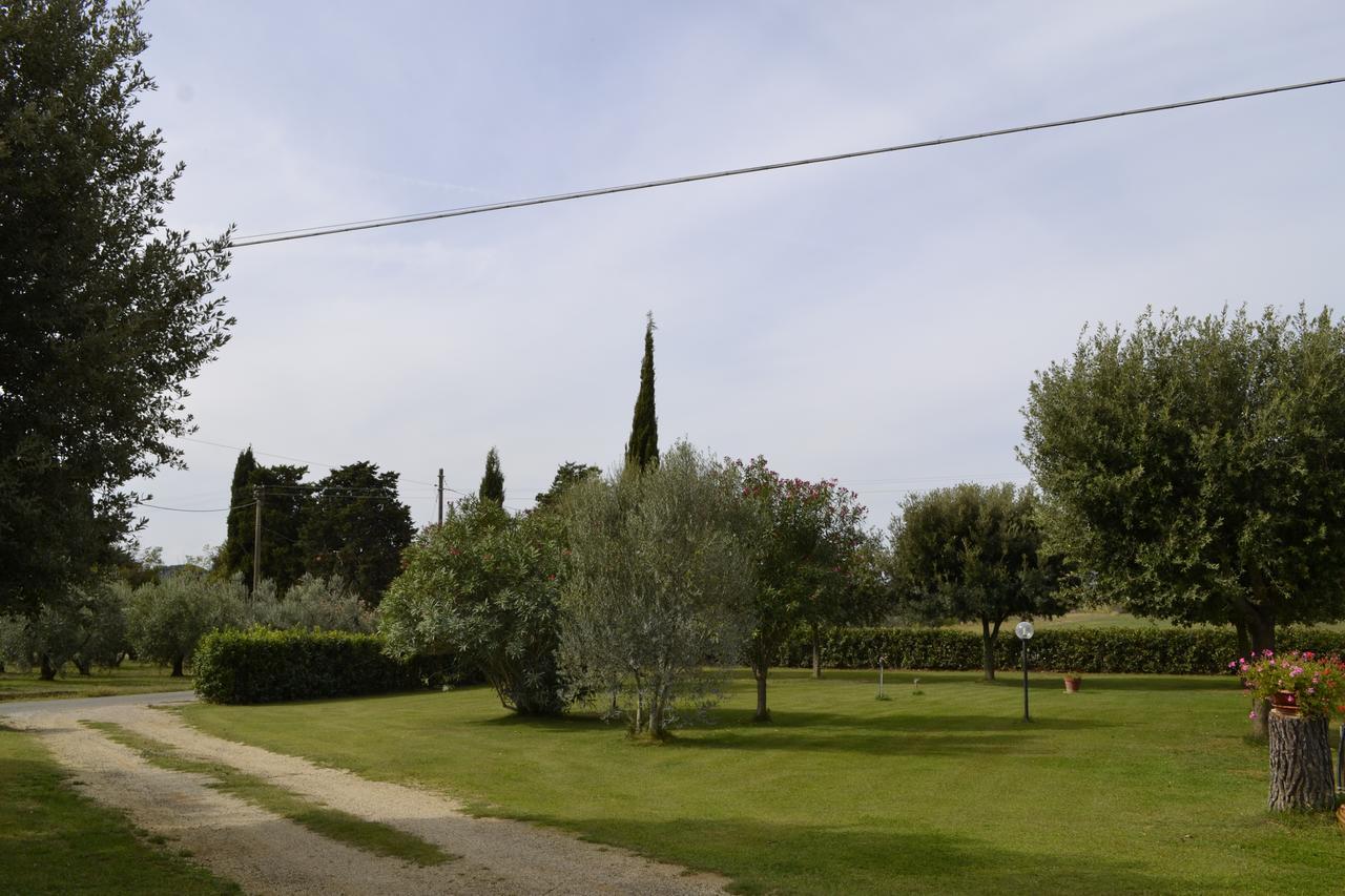 Valdamone Suvereto